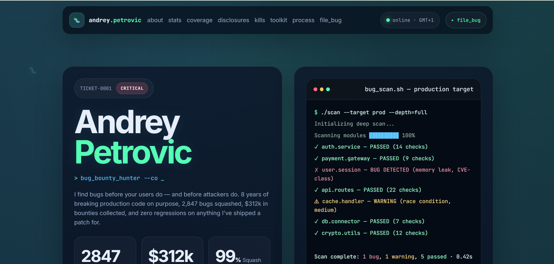 Bug Hunter Developer Portfolio - Andrey Petrovic